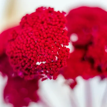 Bbq Terrace Balaton 2br By Nw Балатонсарсо