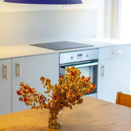 Апартаменты Bbq Terrace Balaton 2br By Nw Балатонсарсо