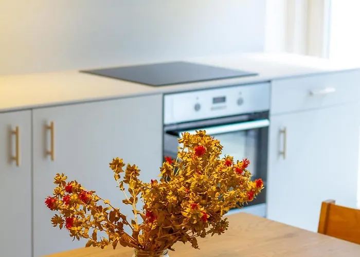 Apartament Bbq Terrace Balaton 2br By Nw Balatonszarszo